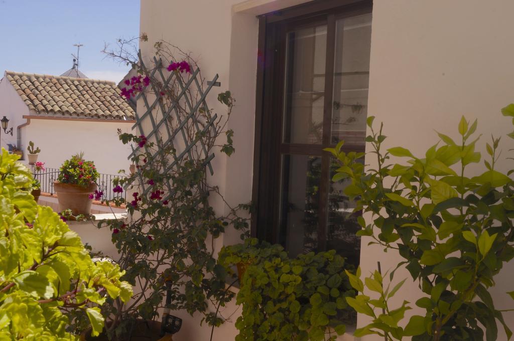 דירות קורדובה Penthouse Puerta De La Juderia מראה חיצוני תמונה